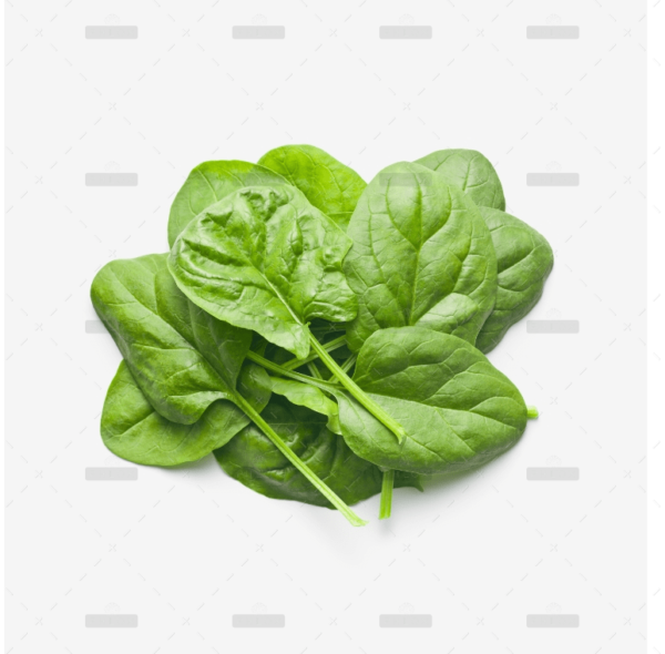 Lettuce – 1 Kg - Image 3